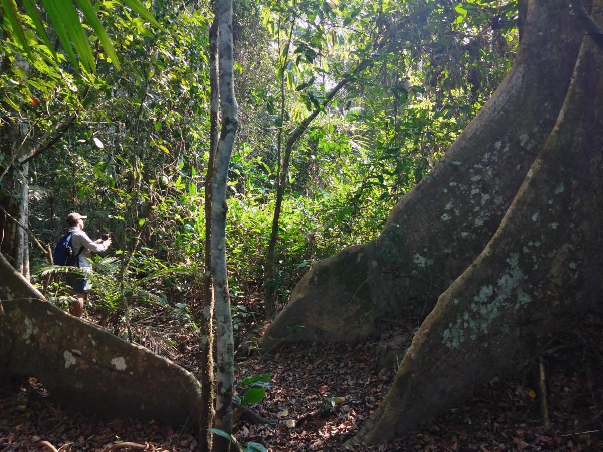 Passiflora Lodge Tambopata Puerto Maldonado Kültér fotó